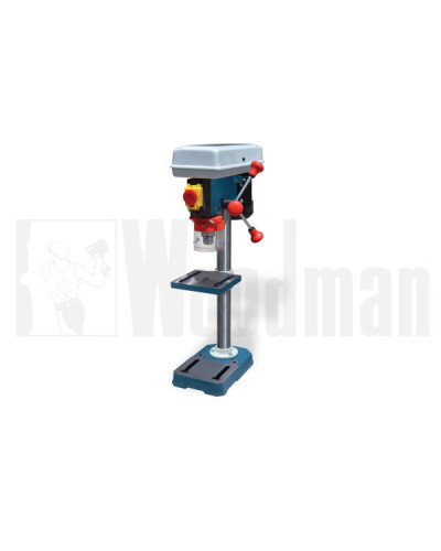 Combinada Madera 2 Op. DP-250 A Woodman | Sumiteca