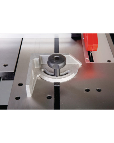 MESA DE CORTE TKS 200 Holzstar | Sumiteca